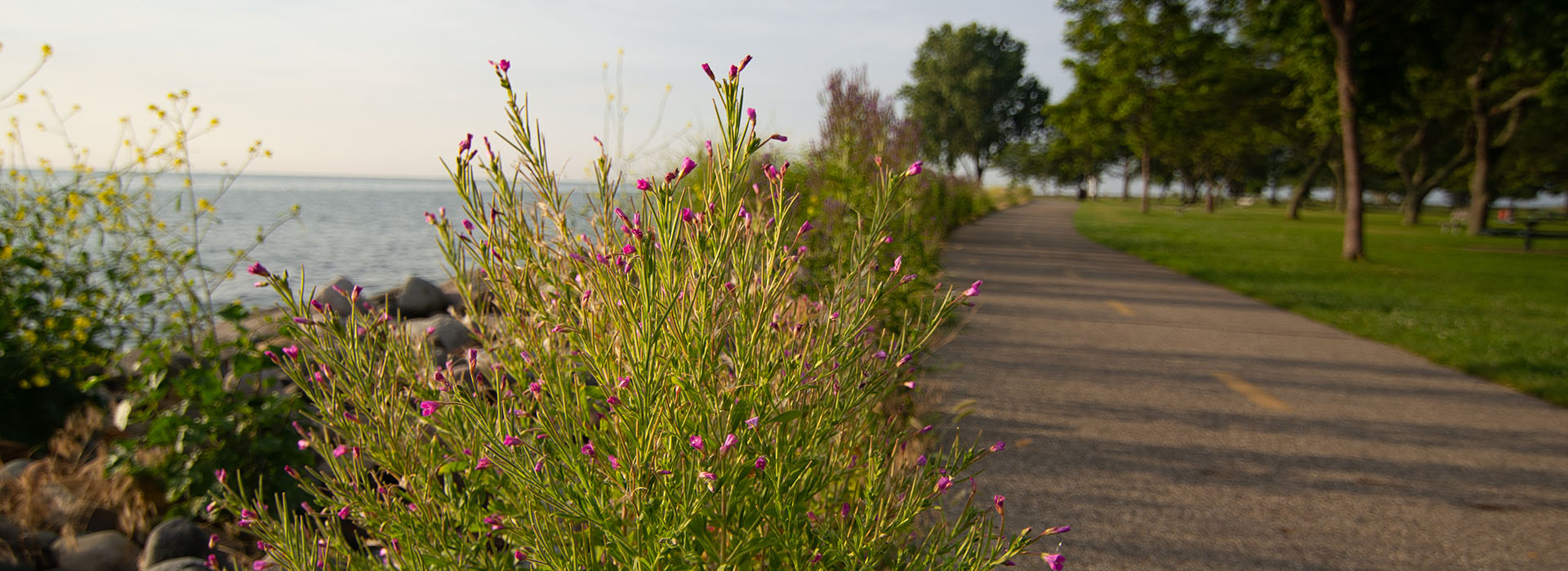 park-near-harrison-twp-mi-lake-st-clair-metropark