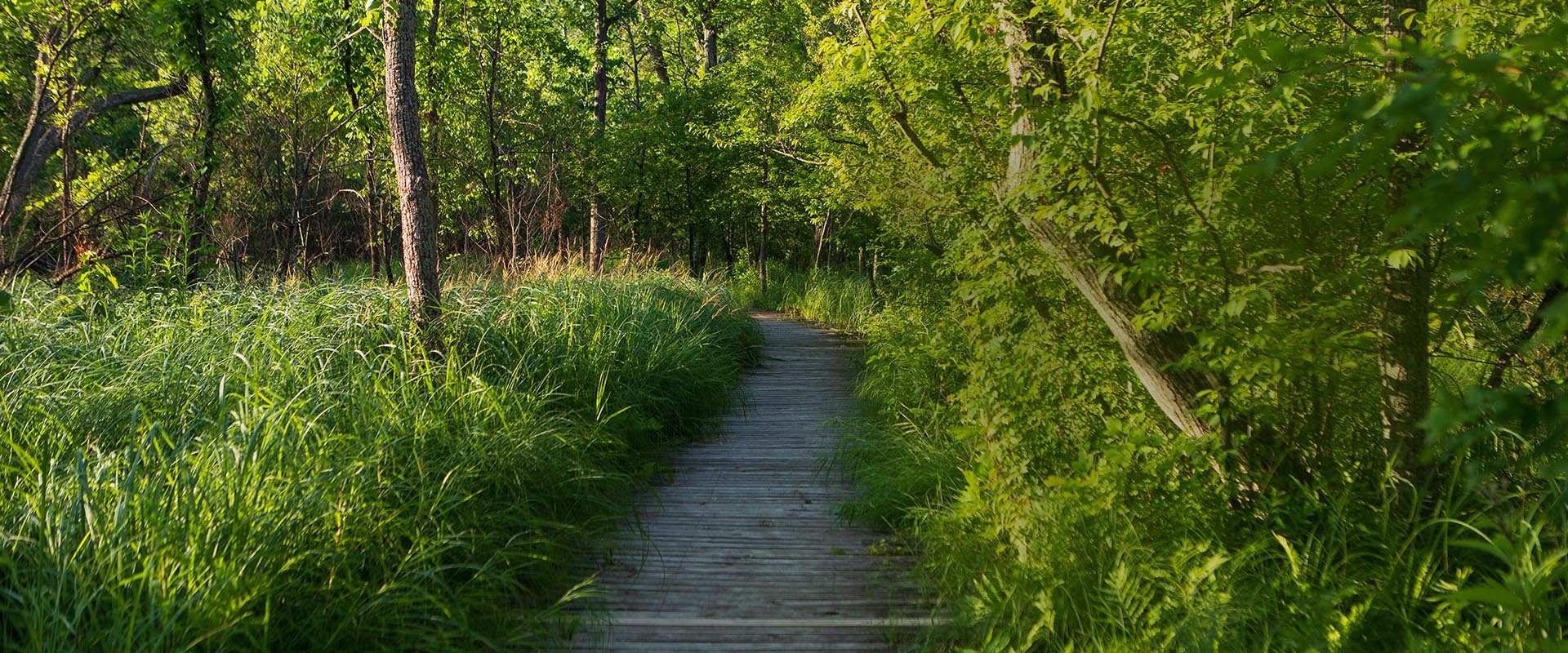 HuronClinton Metroparks. Southeast Michigan Parks