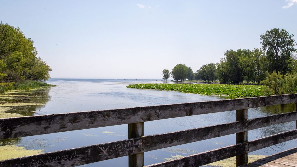 Lake Erie Metropark HuronClinton Metroparks